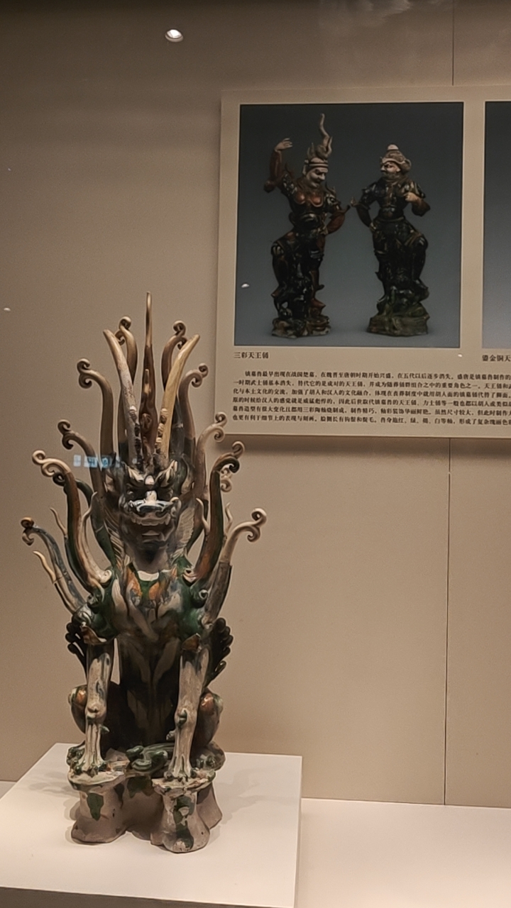 华彩异兽