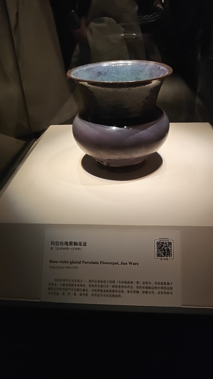 玫瑰紫韵