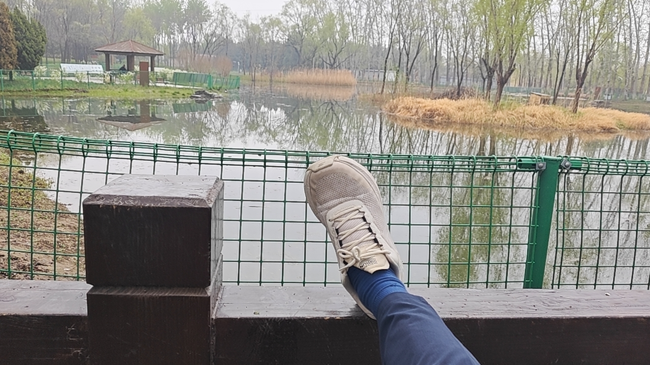 湖畔闲憩