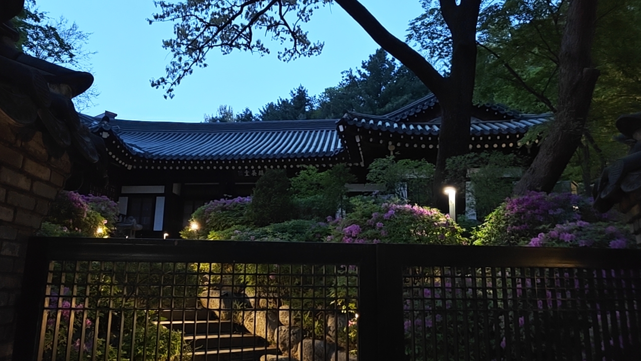 暮色花影