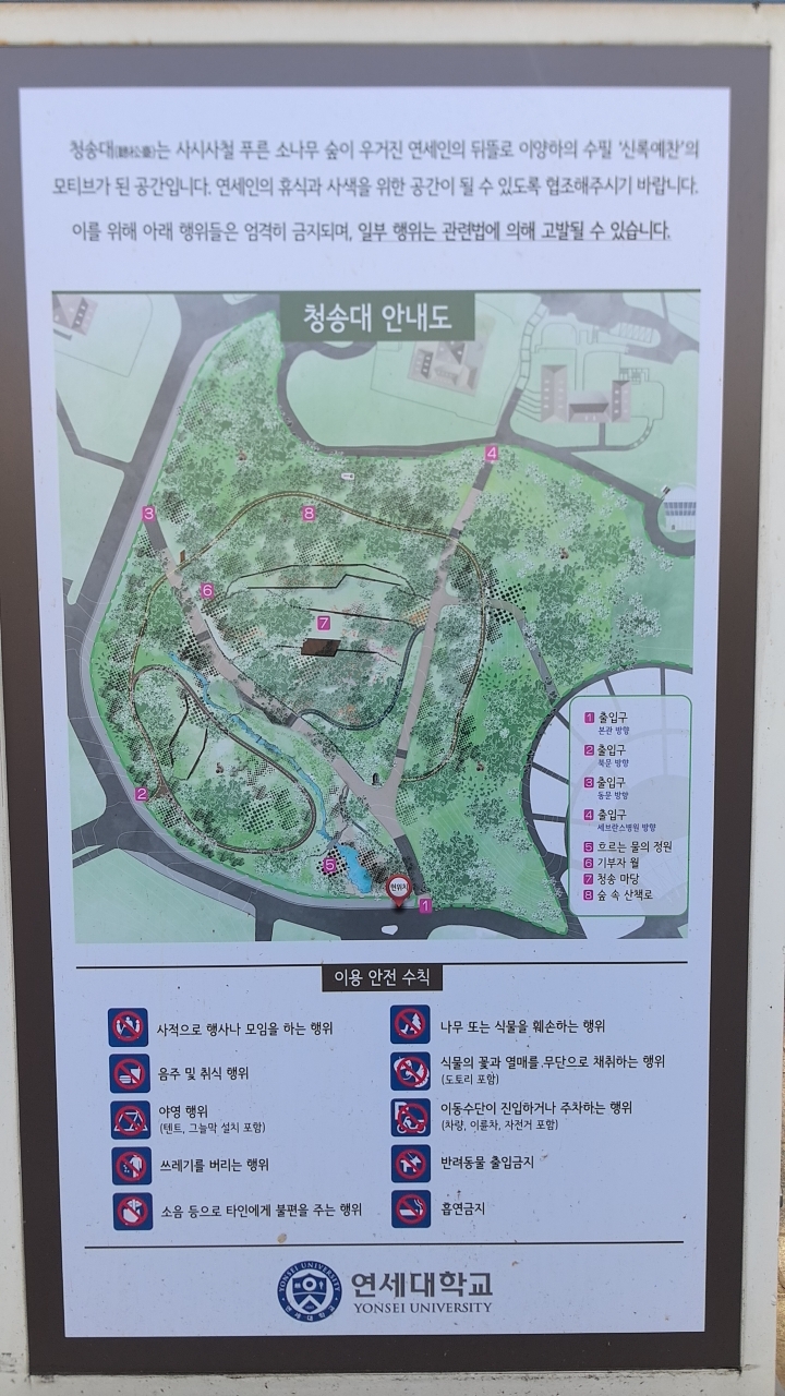 校园绿意图
