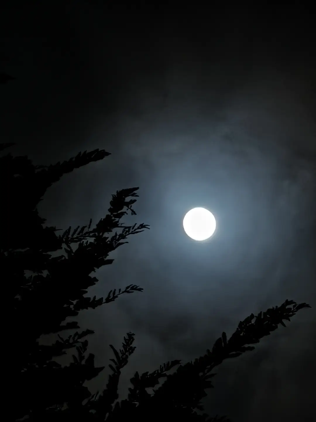静夜月华